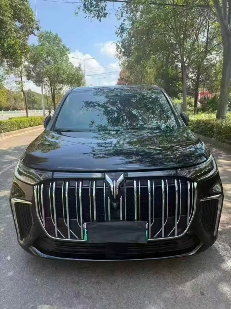 九江23年岚图汽车梦想家1