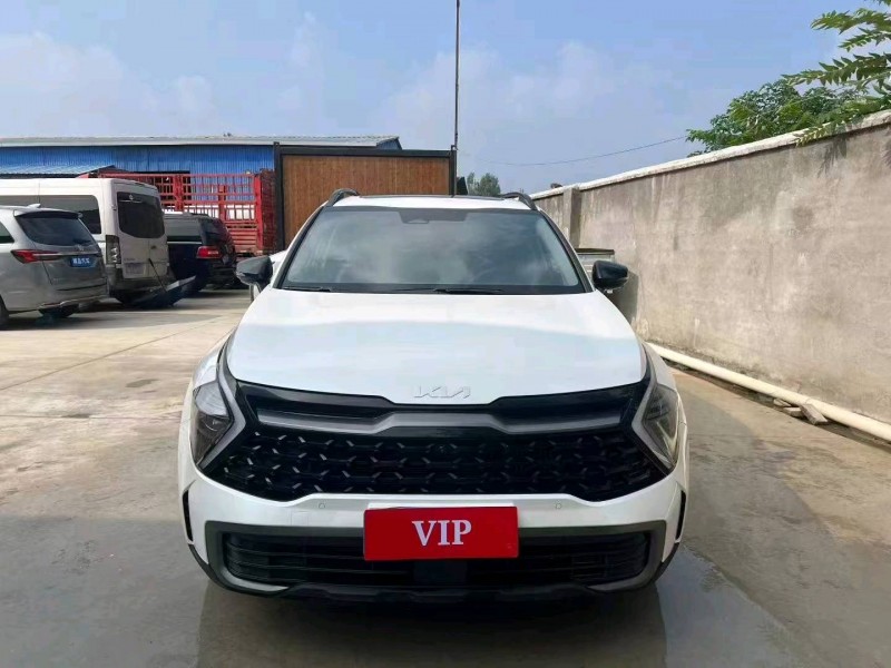 青岛24年起亚狮铂1