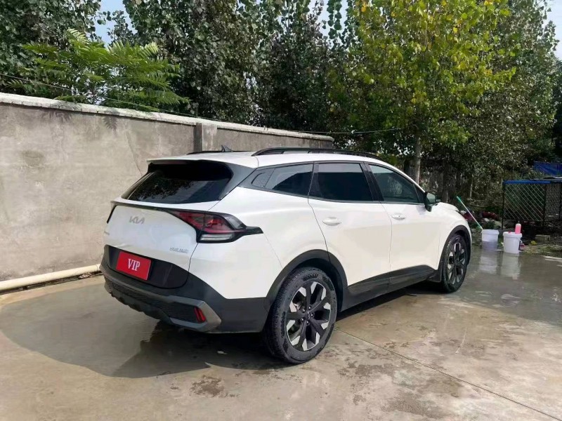 青岛24年起亚狮铂5