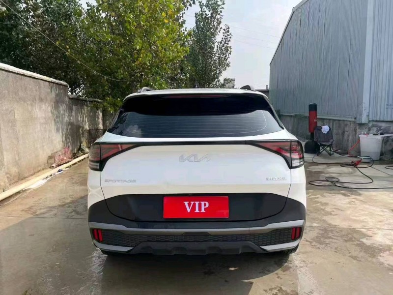 青岛24年起亚狮铂6