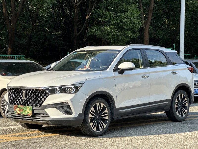 东莞21年奔腾T773