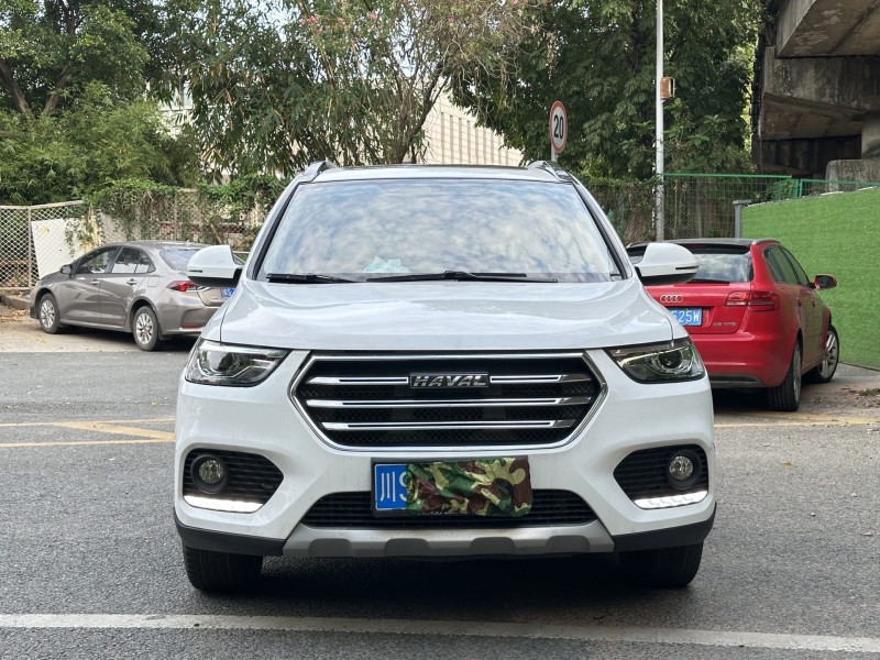 东莞20年哈弗H61