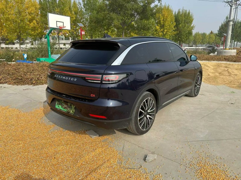 徐州22年零跑汽车C118