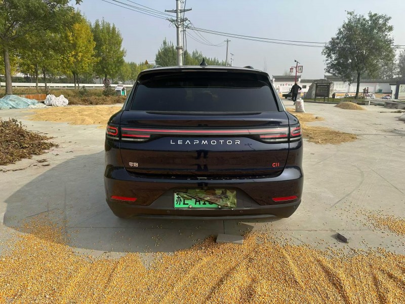 徐州22年零跑汽车C119