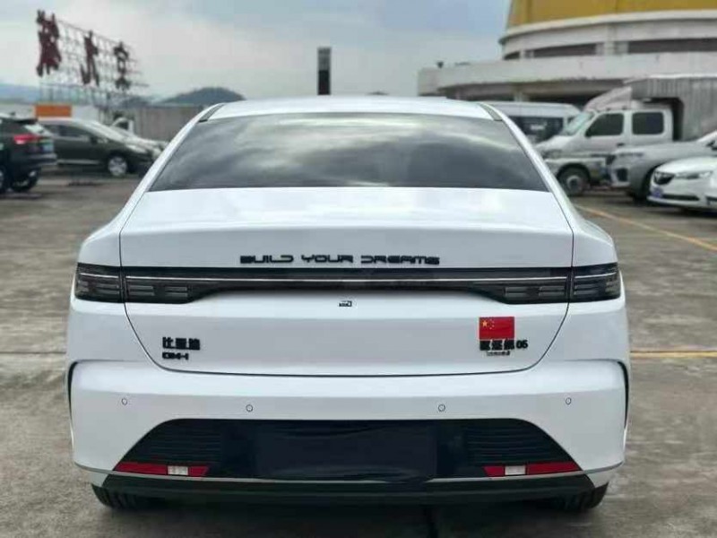 东莞24年比亚迪驱逐舰10