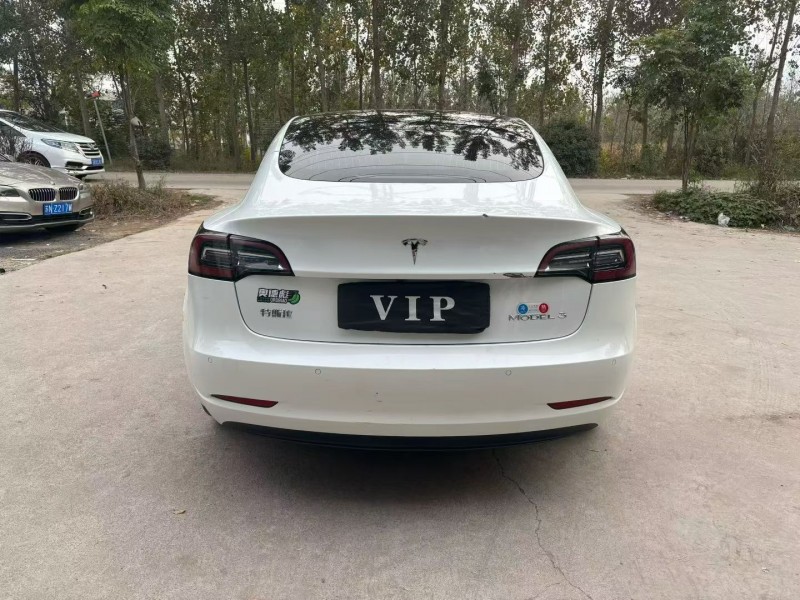 徐州20年特斯拉MODEL 39