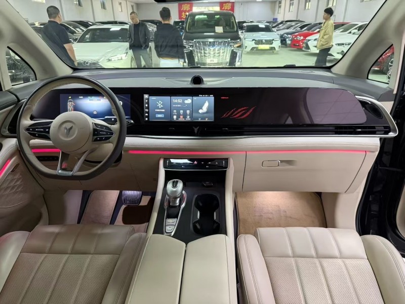 廊坊23年岚图汽车梦想家6