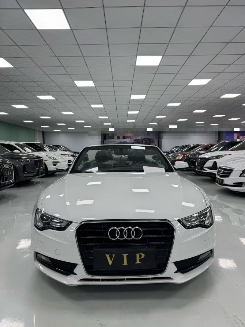 廊坊15年奥迪A51