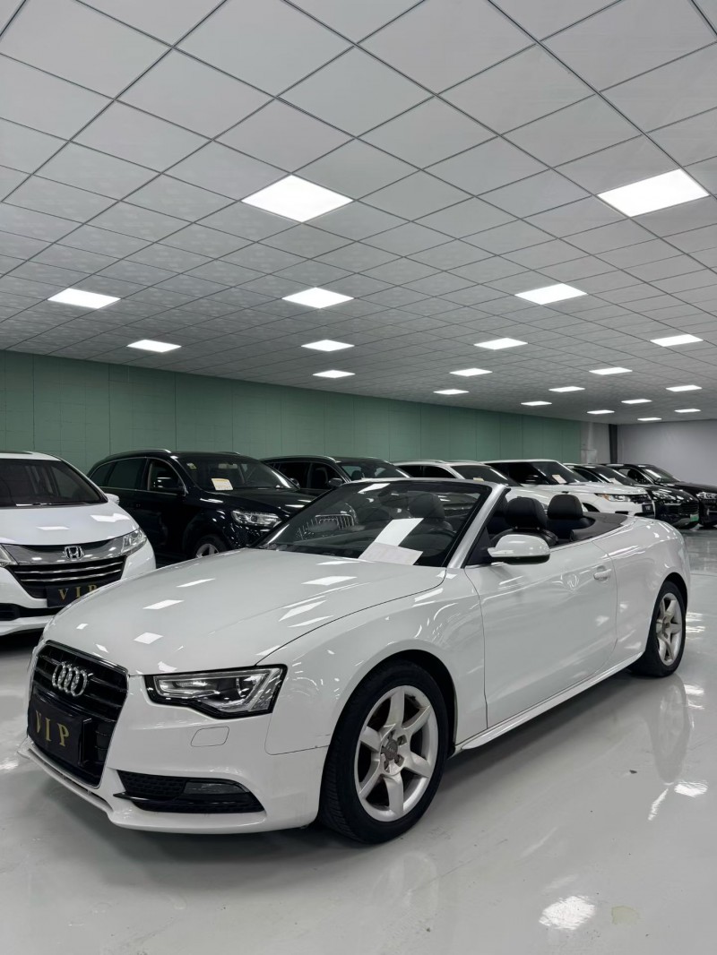 廊坊15年奥迪A53