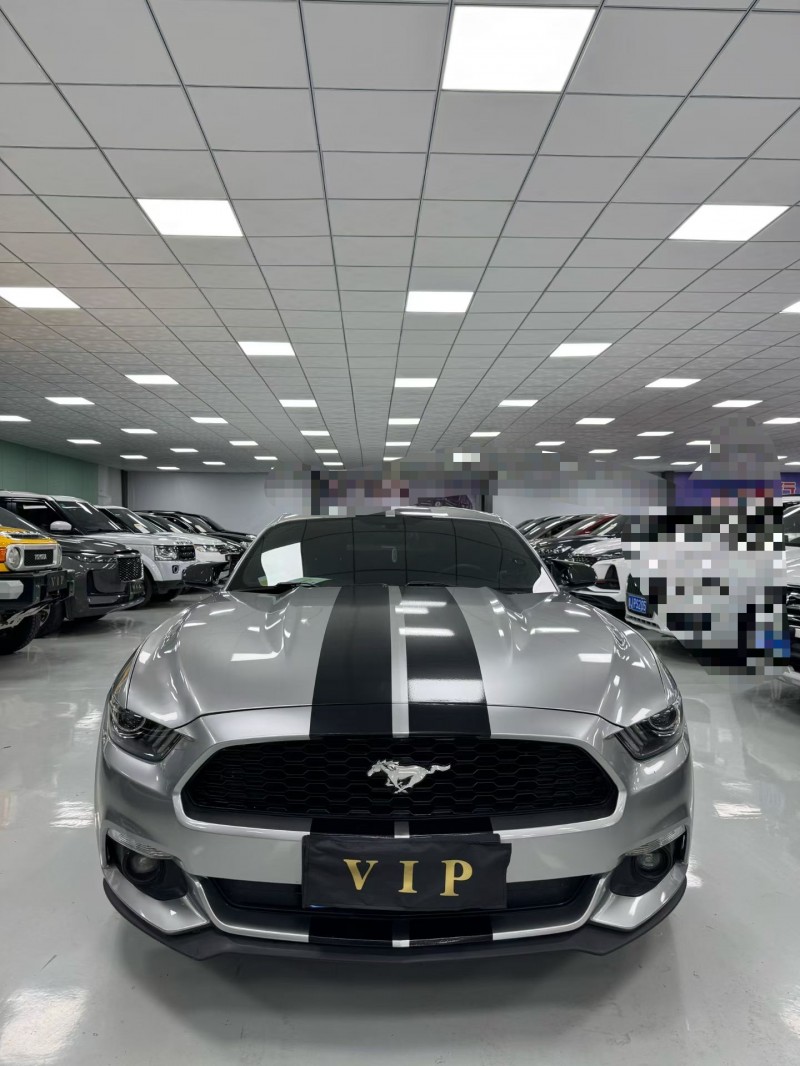 廊坊18年福特野马1