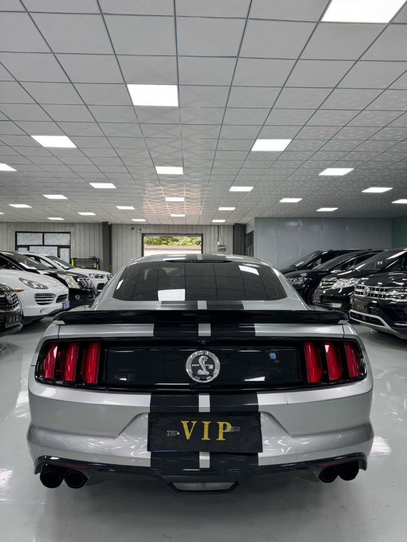 廊坊18年福特野马9