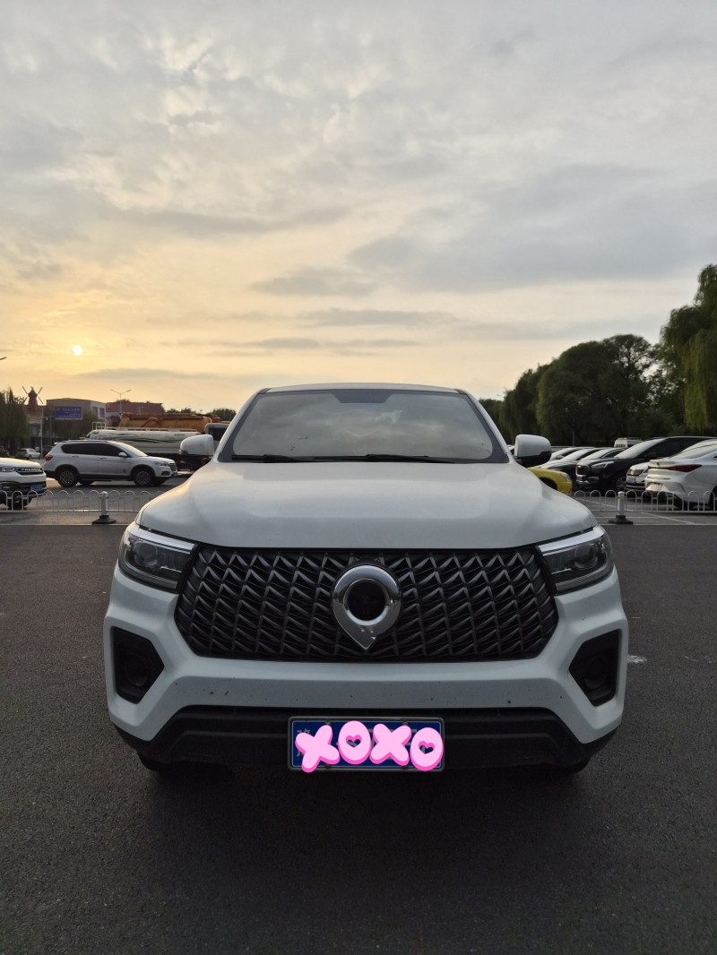 洛阳24年长城汽车炮 皮卡1