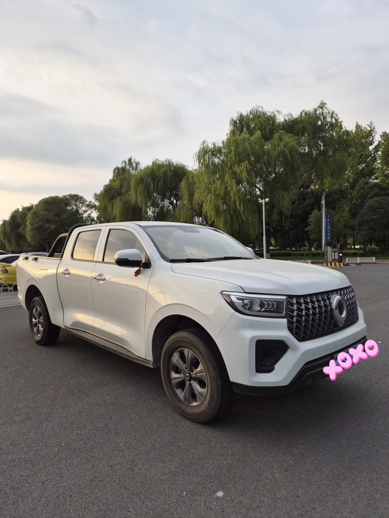 洛阳24年长城汽车炮 皮卡3