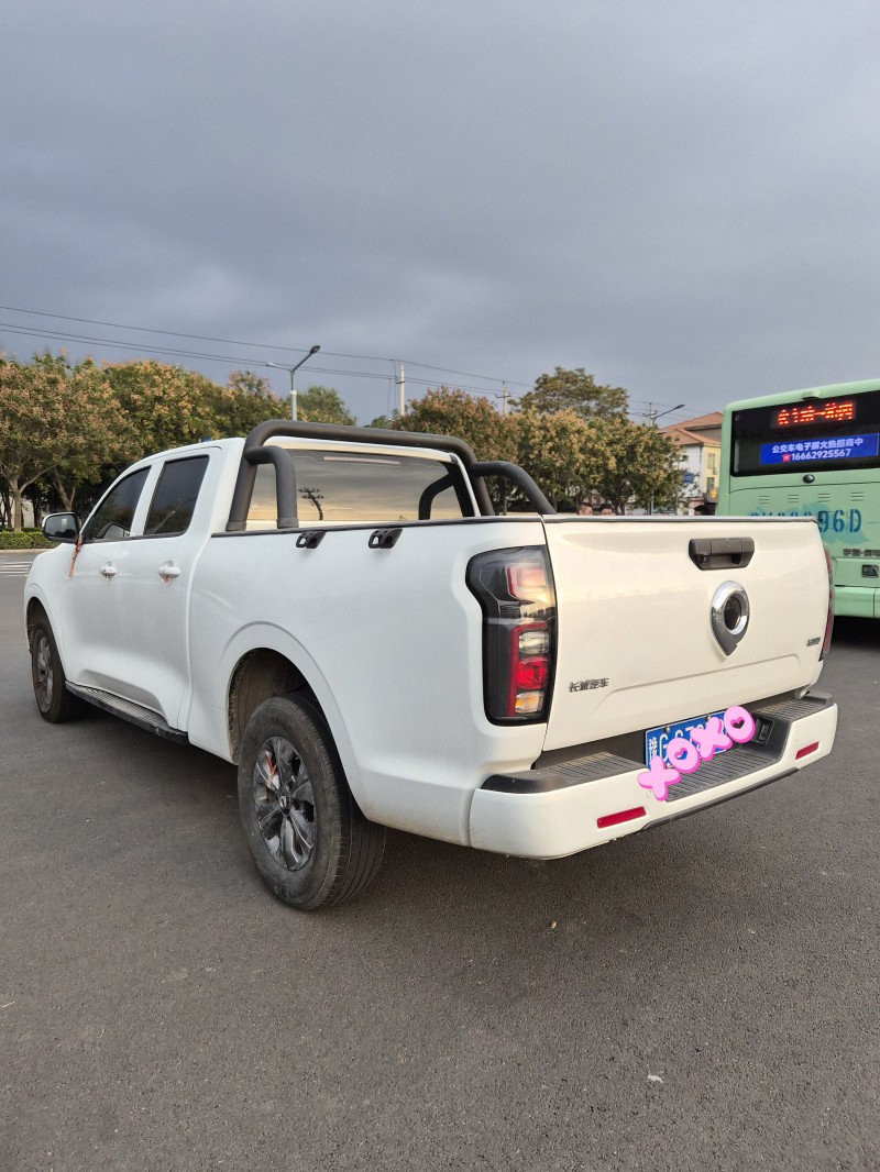 洛阳24年长城汽车炮 皮卡9