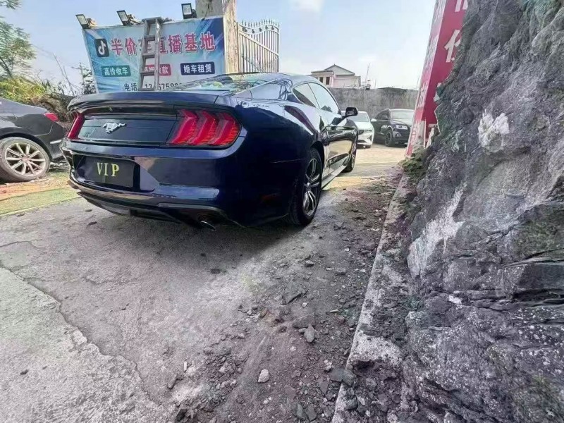 湘潭19年福特野马7