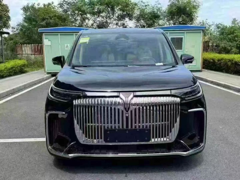 佛山25年岚图汽车梦想家1