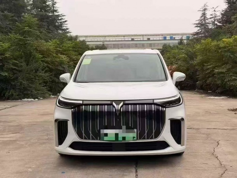 开封22年岚图汽车梦想家1