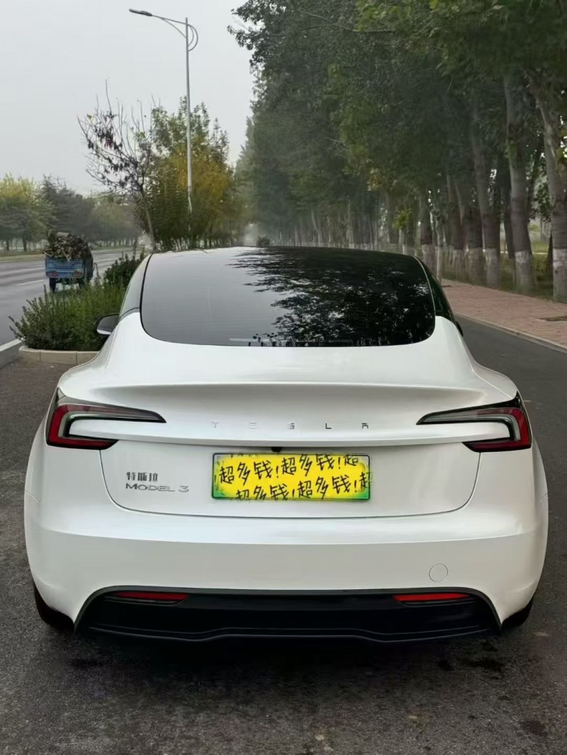 保定24年特斯拉MODEL 39
