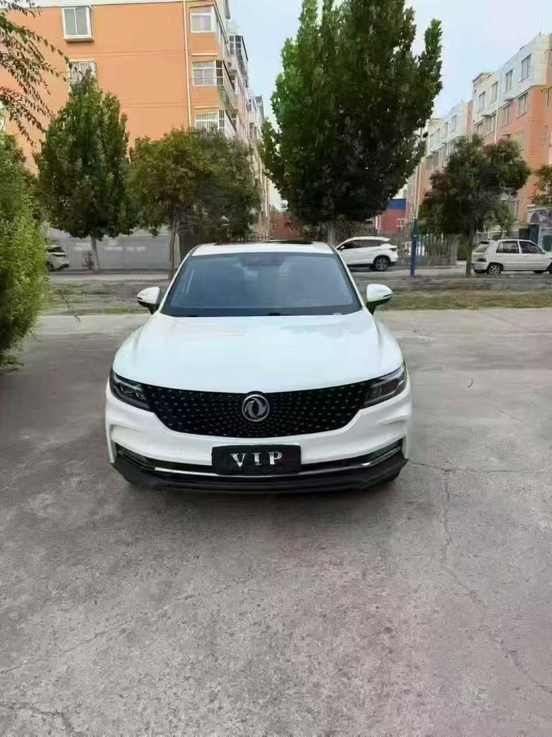 潍坊19年东风风光1