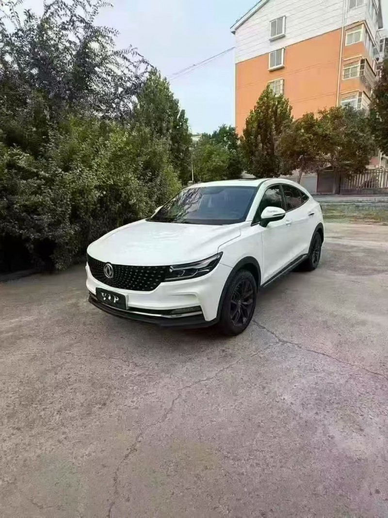 潍坊19年东风风光2