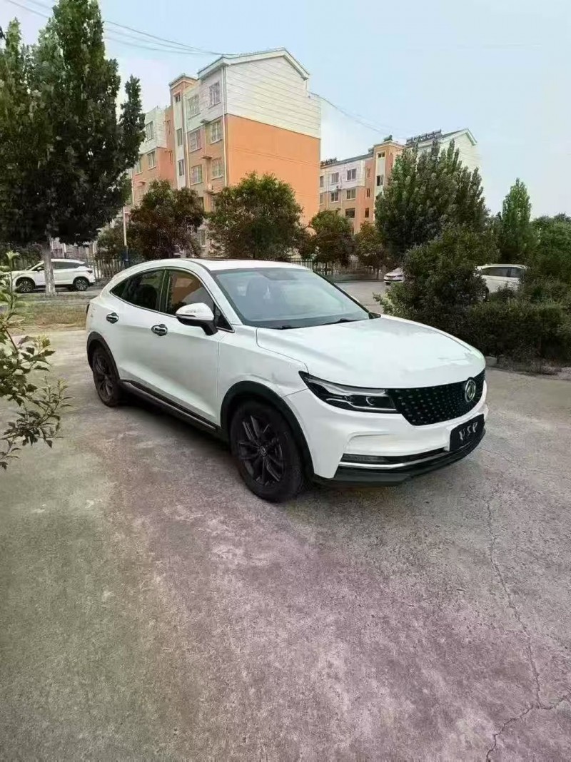 潍坊19年东风风光3