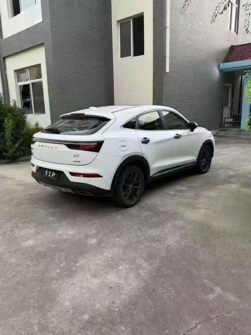 潍坊19年东风风光8