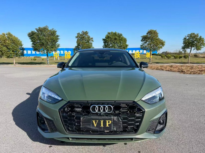 盐城22年奥迪A51