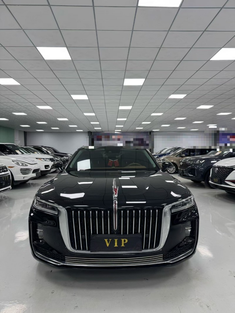 廊坊20年红旗H91