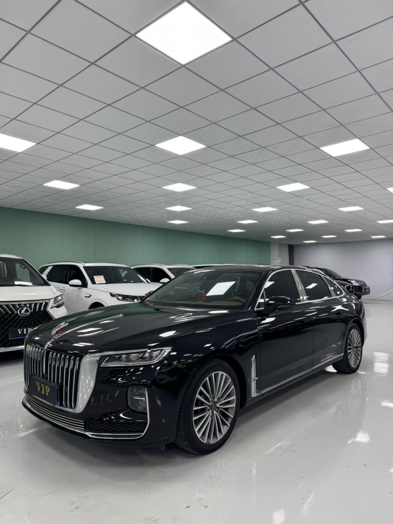 廊坊20年红旗H94