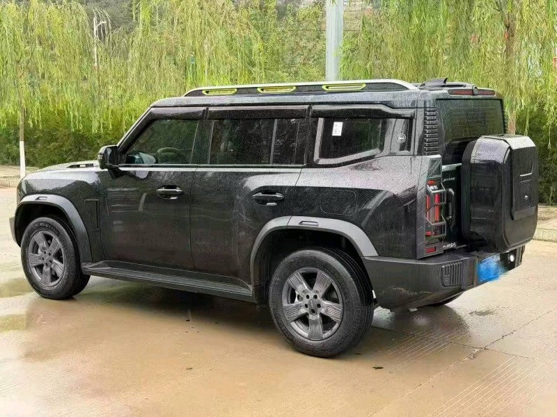 聊城24年奇瑞捷途9