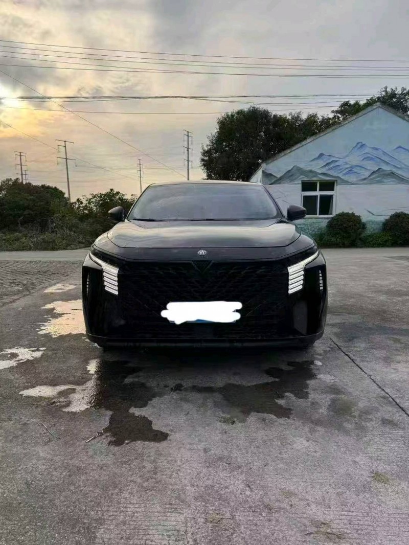 阜阳23年启辰大V1