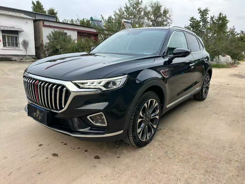 徐州20年红旗HS53