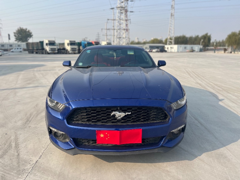 天津17年福特野马1