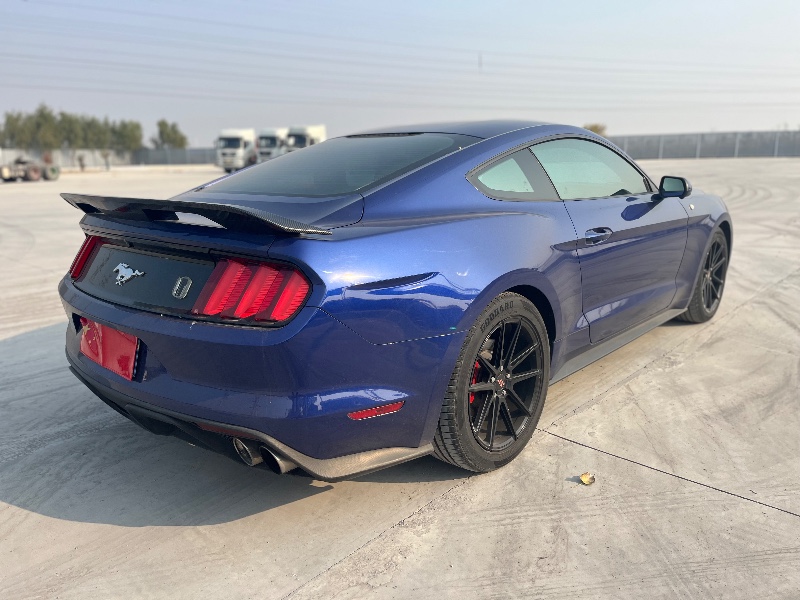 天津17年福特野马9