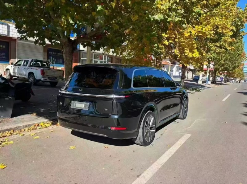 秦皇岛22年理想L95