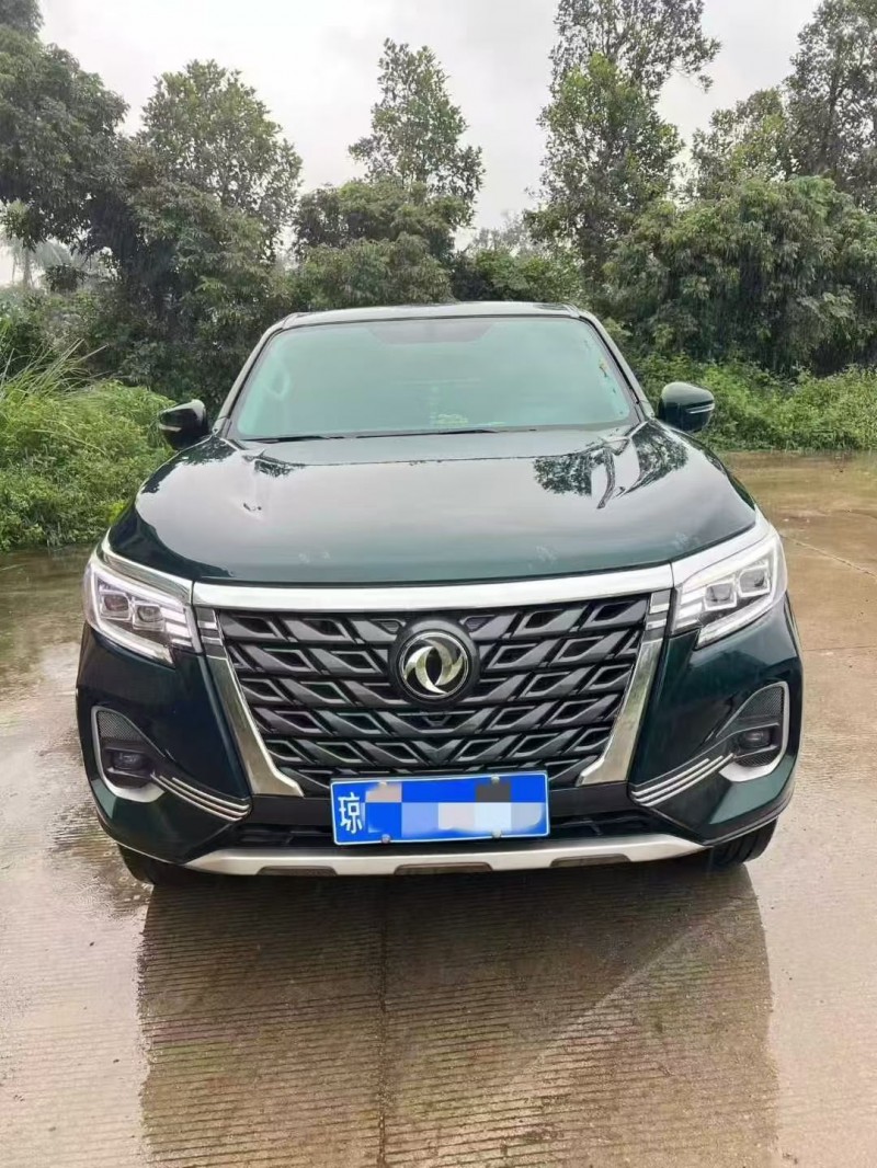 钦州24年东风锐骐皮卡1