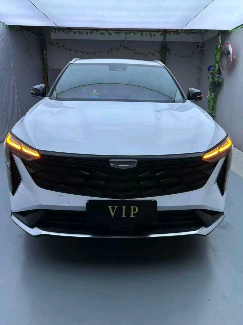 广州24年吉利博越1