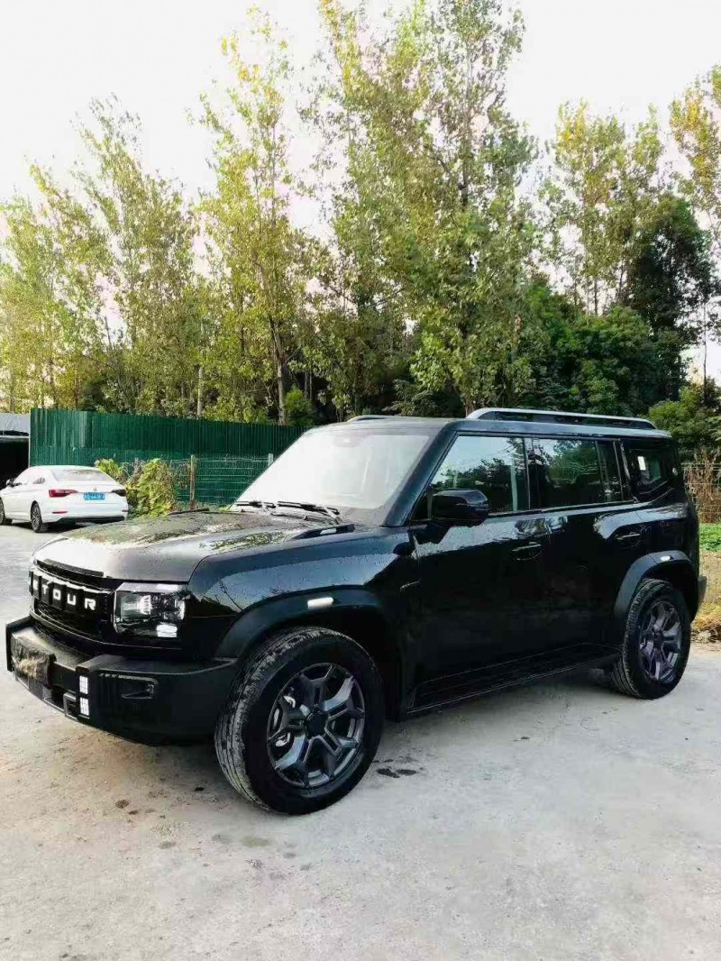 绍兴24年奇瑞捷途2