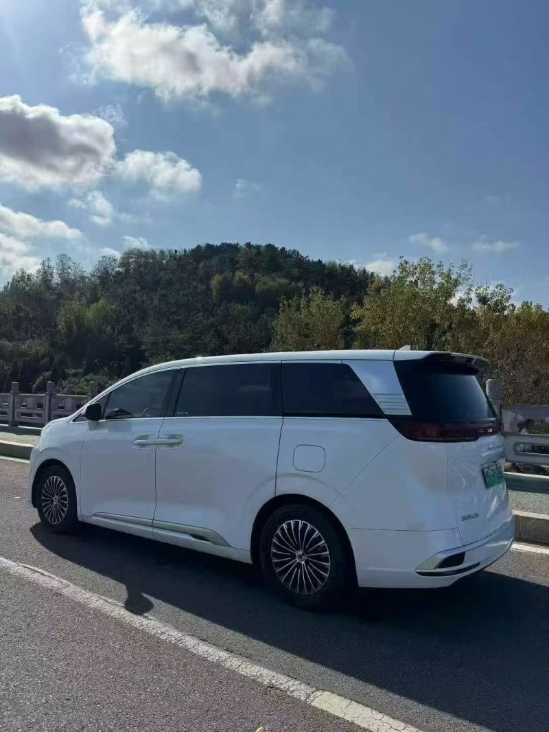 青岛23年腾势D98