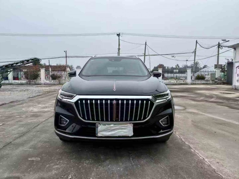 徐州20年红旗HS51