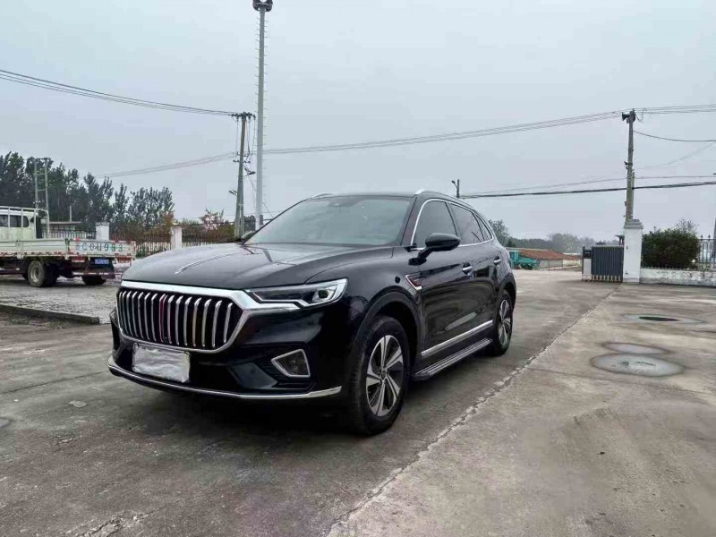 徐州20年红旗HS52