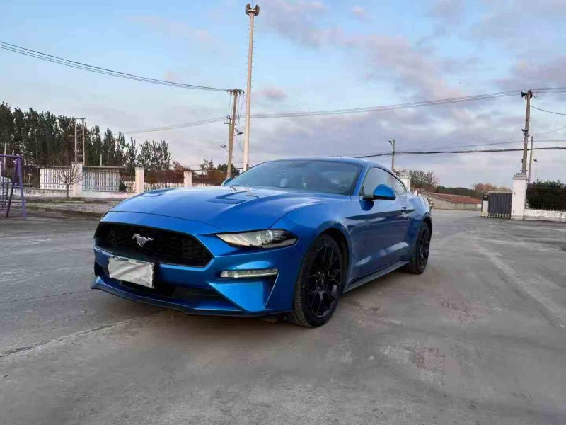 徐州19年福特野马2