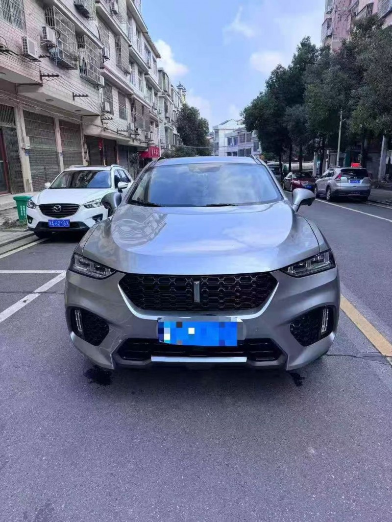 岳阳19年长城汽车魏牌1