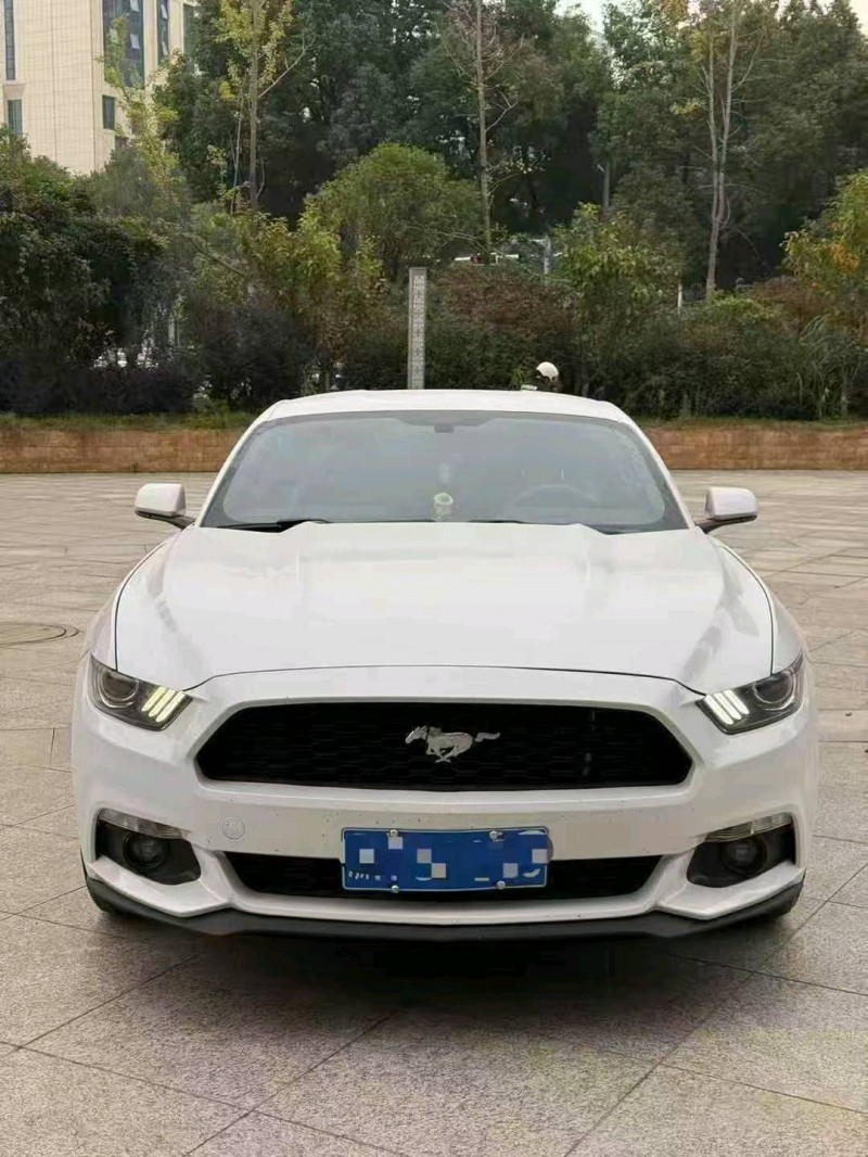 九江17年福特野马1