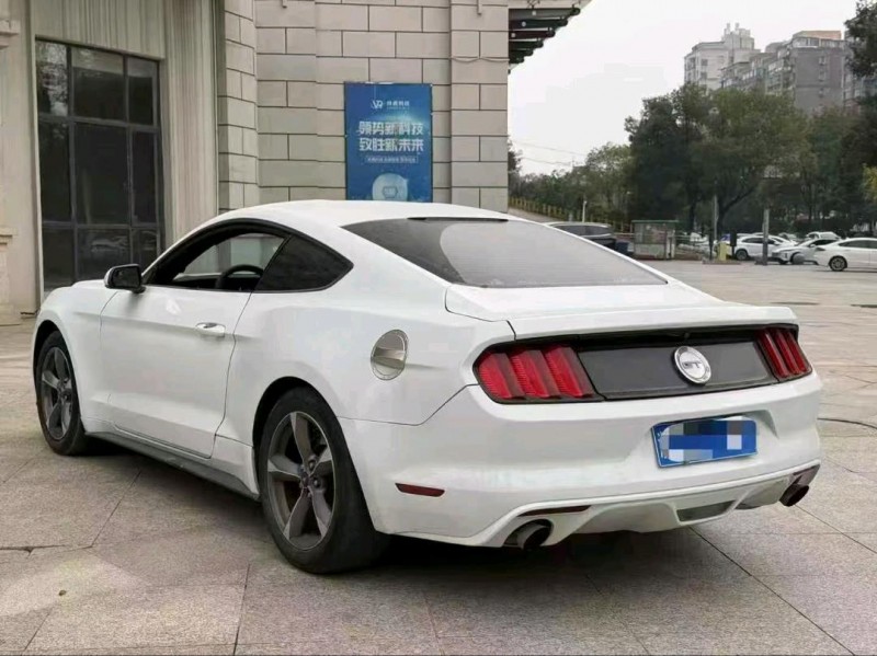 九江17年福特野马9