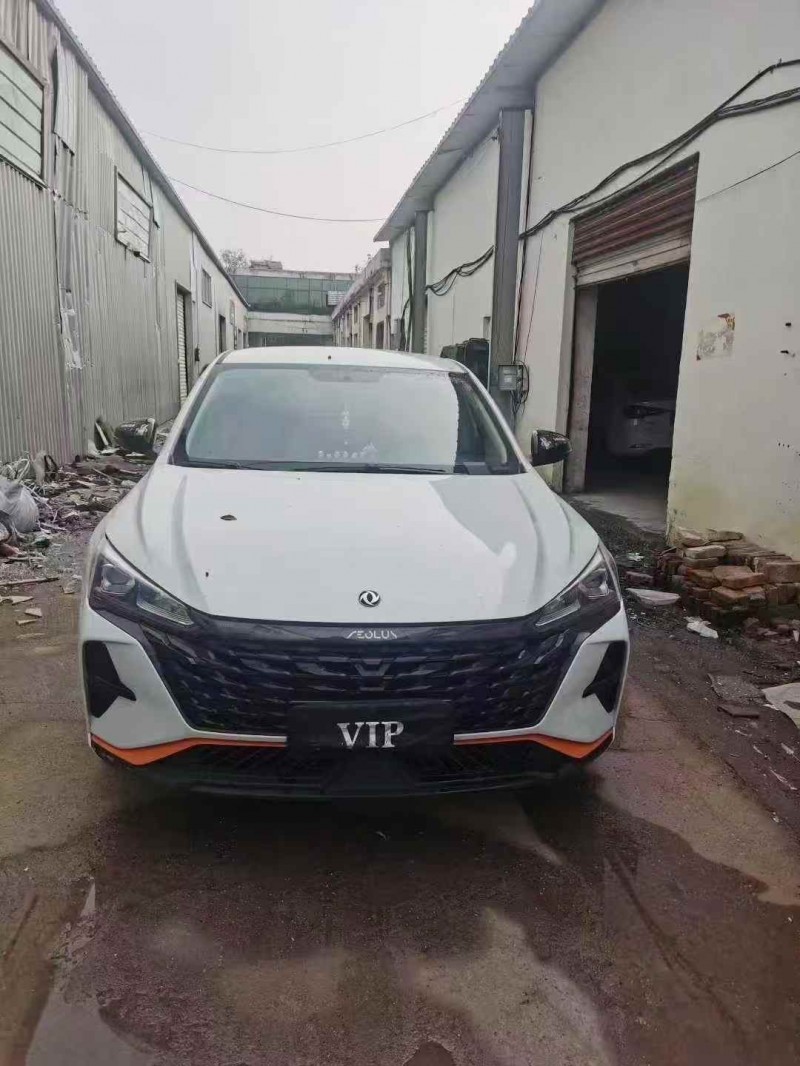 温州24年东风奕炫1