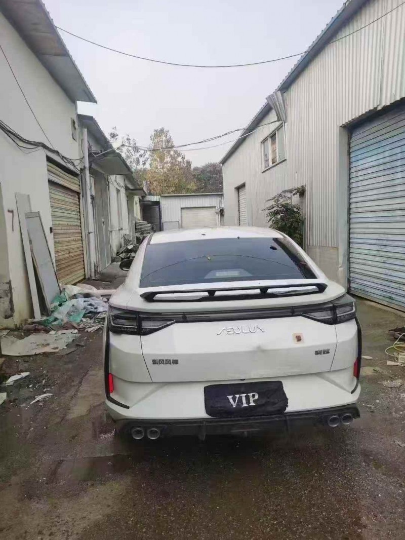 温州24年东风奕炫7