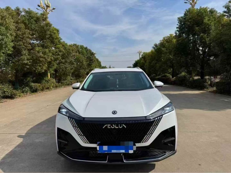 常州25年东风风神1