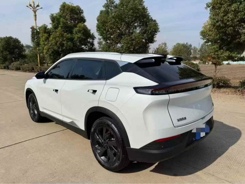 常州25年东风风神8