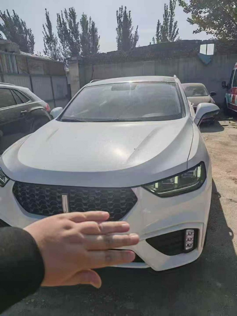 淄博20年长城汽车魏牌1